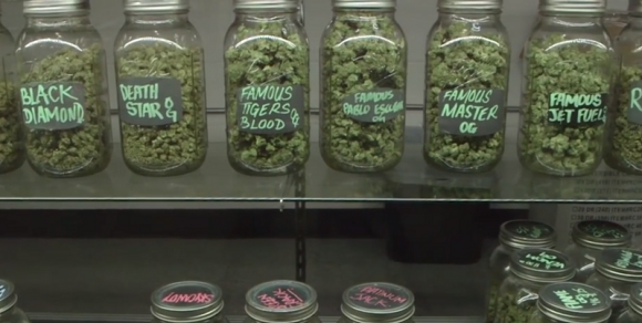 Could PA get a Cannabis Control Board as a step towards recreational marijuana?